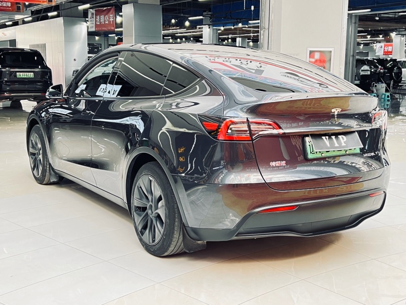 Tesla Model Y 2024 car image #6