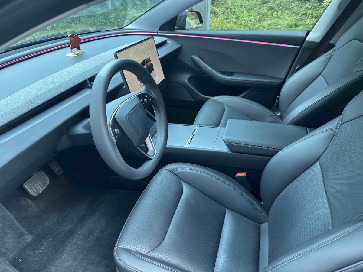 Tesla Model 3 2024 immagine di auto #7