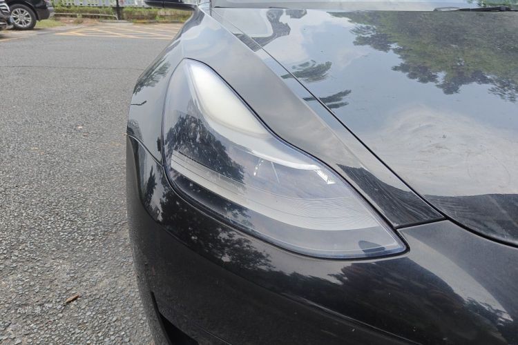 Tesla Model 3 2021 #8 Tesla Model 3 2021 car image #8