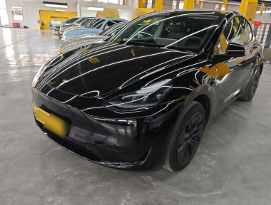 Tesla Model Y 2024 car image 