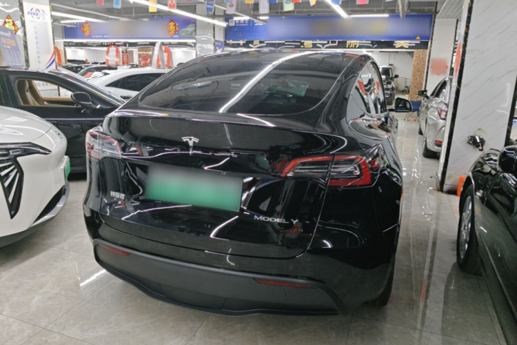 Tesla Model Y 2023 #7 Tesla Model Y 2023 car image #7