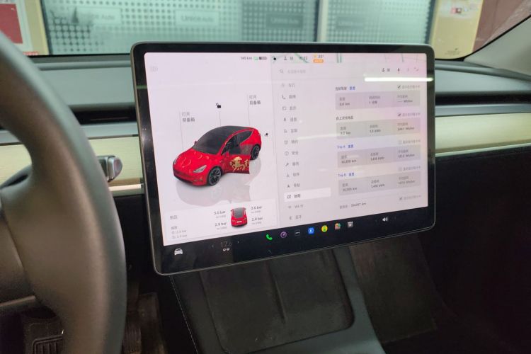 Tesla Model Y 2023 #13 Tesla Model Y 2023 car image #13
