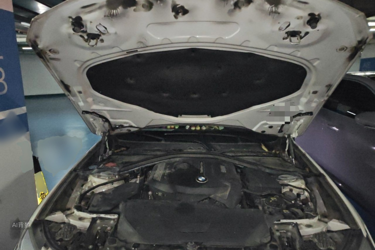 BMW 3 Series GT 2018 car image #22