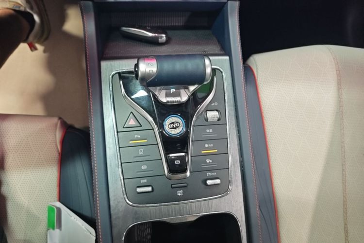 BYD Yuan Plus 2023 car image #18