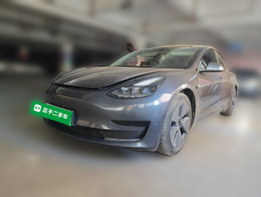 Tesla Model 3 2021 Tesla Model 3 2021 car image