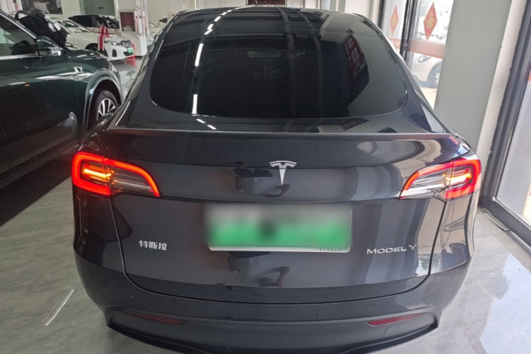 Tesla Model Y 2024 car image #6