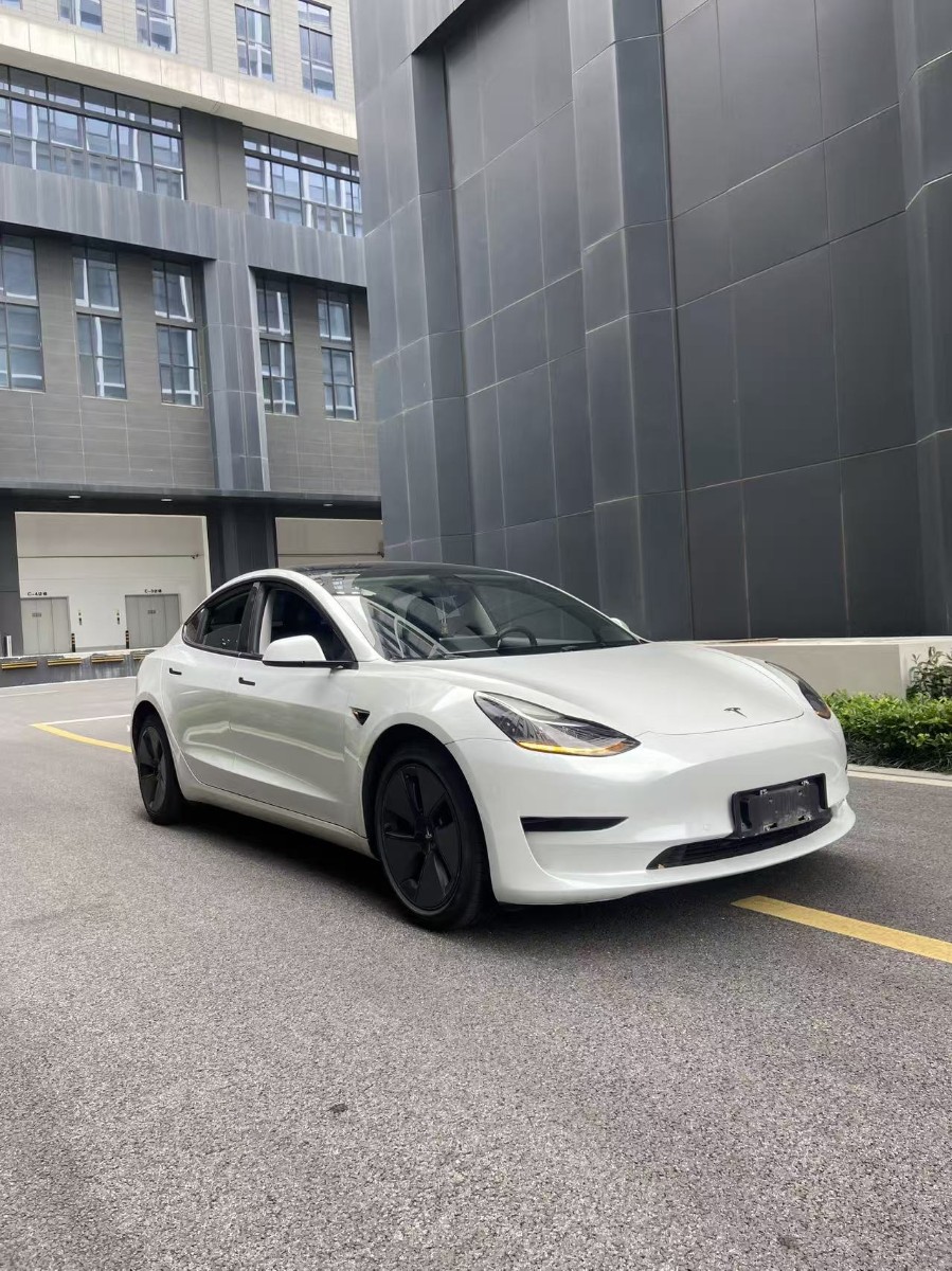 Tesla Model 3 2022 #3 Tesla Model 3 2022 car image #3