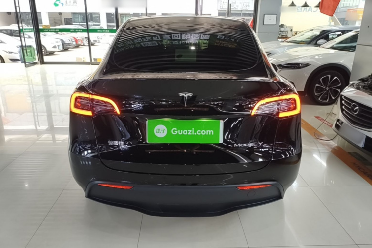 Tesla Model Y 2021 car image #4