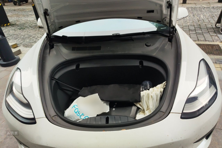 Tesla Model 3 2020 car image #22