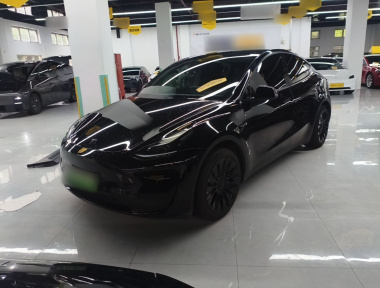 Tesla Model Y 2022 Tesla Model Y 2022 car image