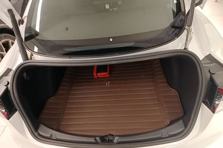 Tesla Model 3 2021 #19 Tesla Model 3 2021 car image #19