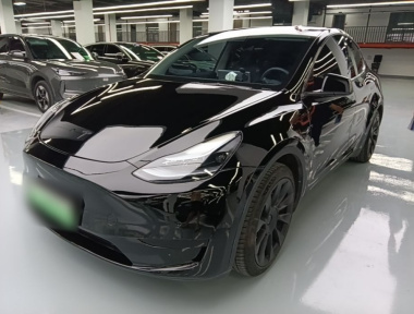 Tesla Model Y 2023 Tesla Model Y 2023 car image