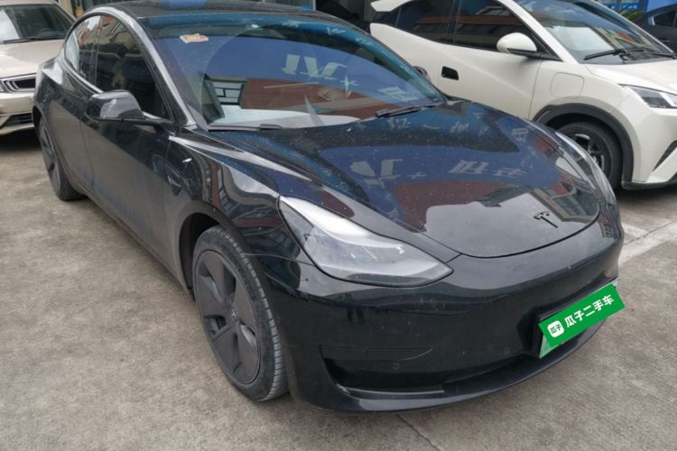 Tesla Model 3 2021 immagine di auto #4