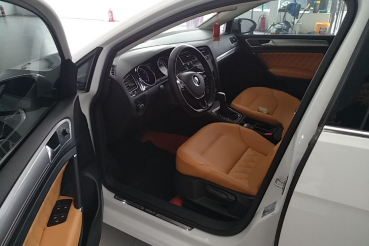 Volkswagen Golf 2020 car image #15