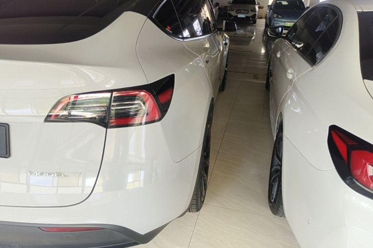 Tesla Model Y 2021 car image #8