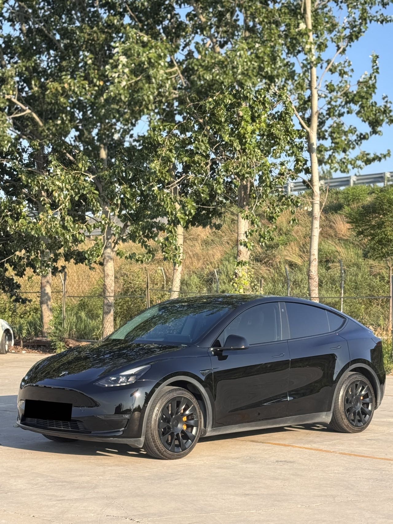 Tesla Model Y 2021 Tesla Model Y 2021 car image