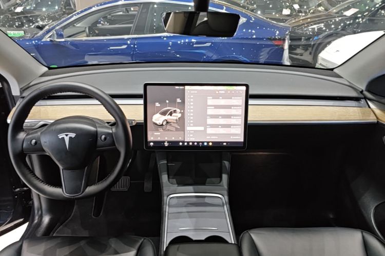 Tesla Model Y 2022 #10 Tesla Model Y 2022 car image #10