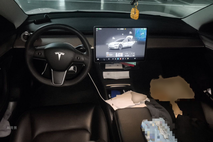 Tesla Model 3 2023 car image #11