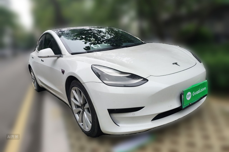 Tesla Model 3 2020 car image #4
