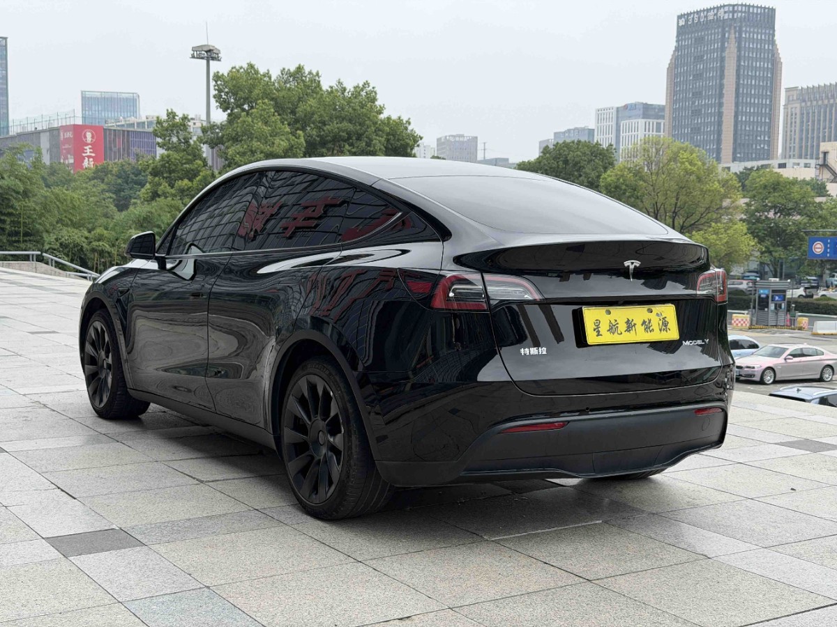 Tesla Model Y 2021 #12 Tesla Model Y 2021 car image #12