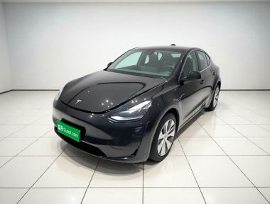 Tesla Model Y 2023 Tesla Model Y 2023 car image
