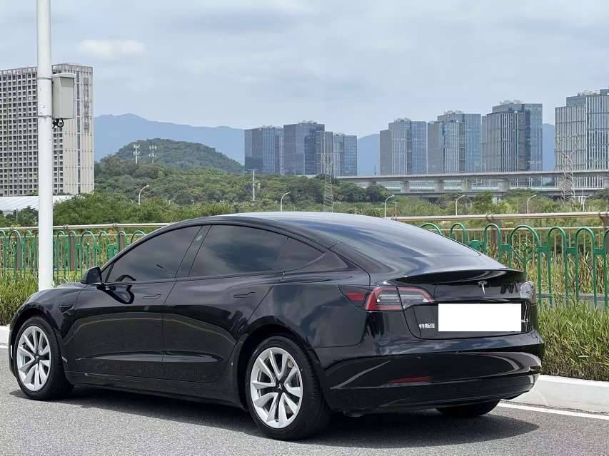 Tesla Model 3 2021 #3 Tesla Model 3 2021 car image #3