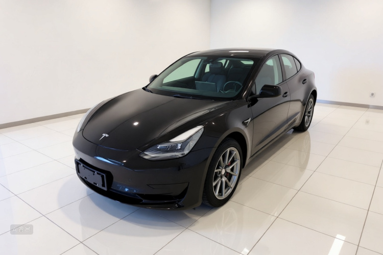 Tesla Model 3 2023 #2 Tesla Model 3 2023 car image #2