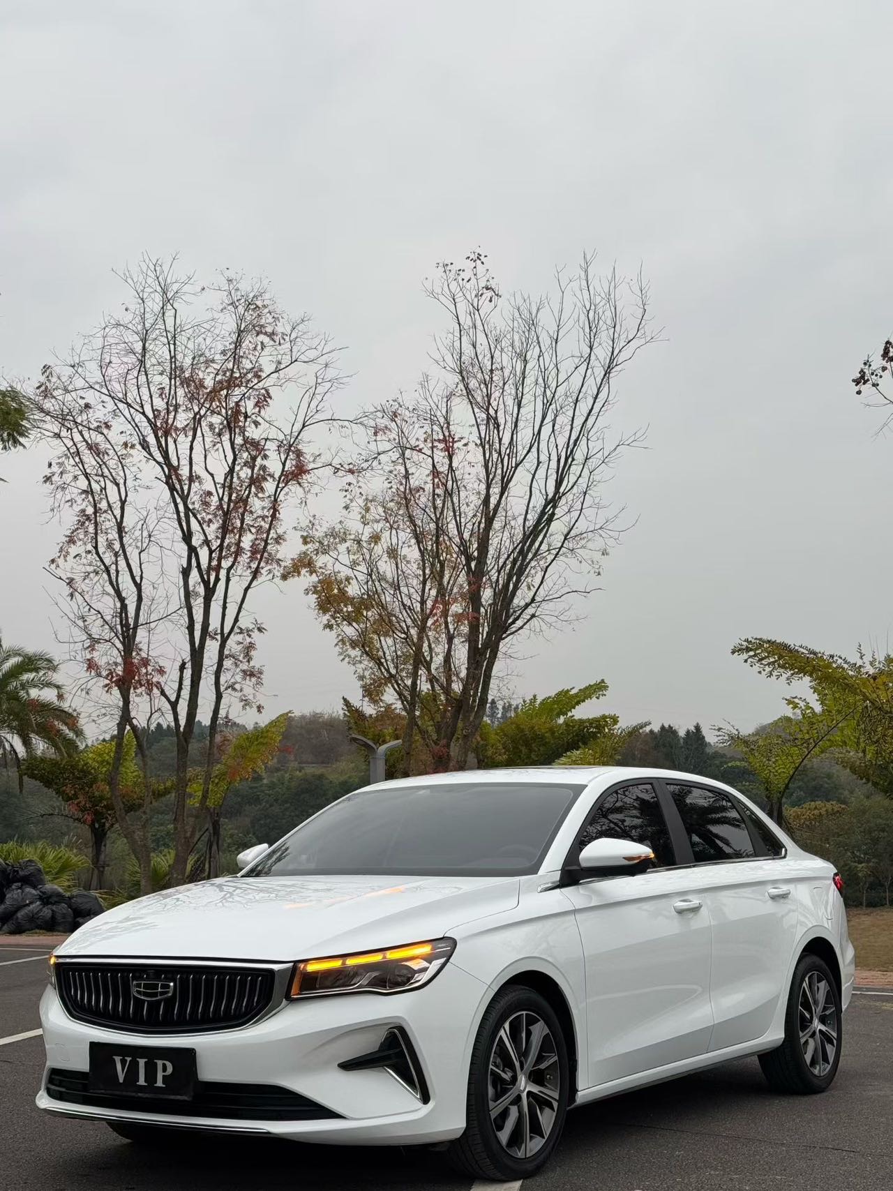 GEELY Emgrand 2024 car image 