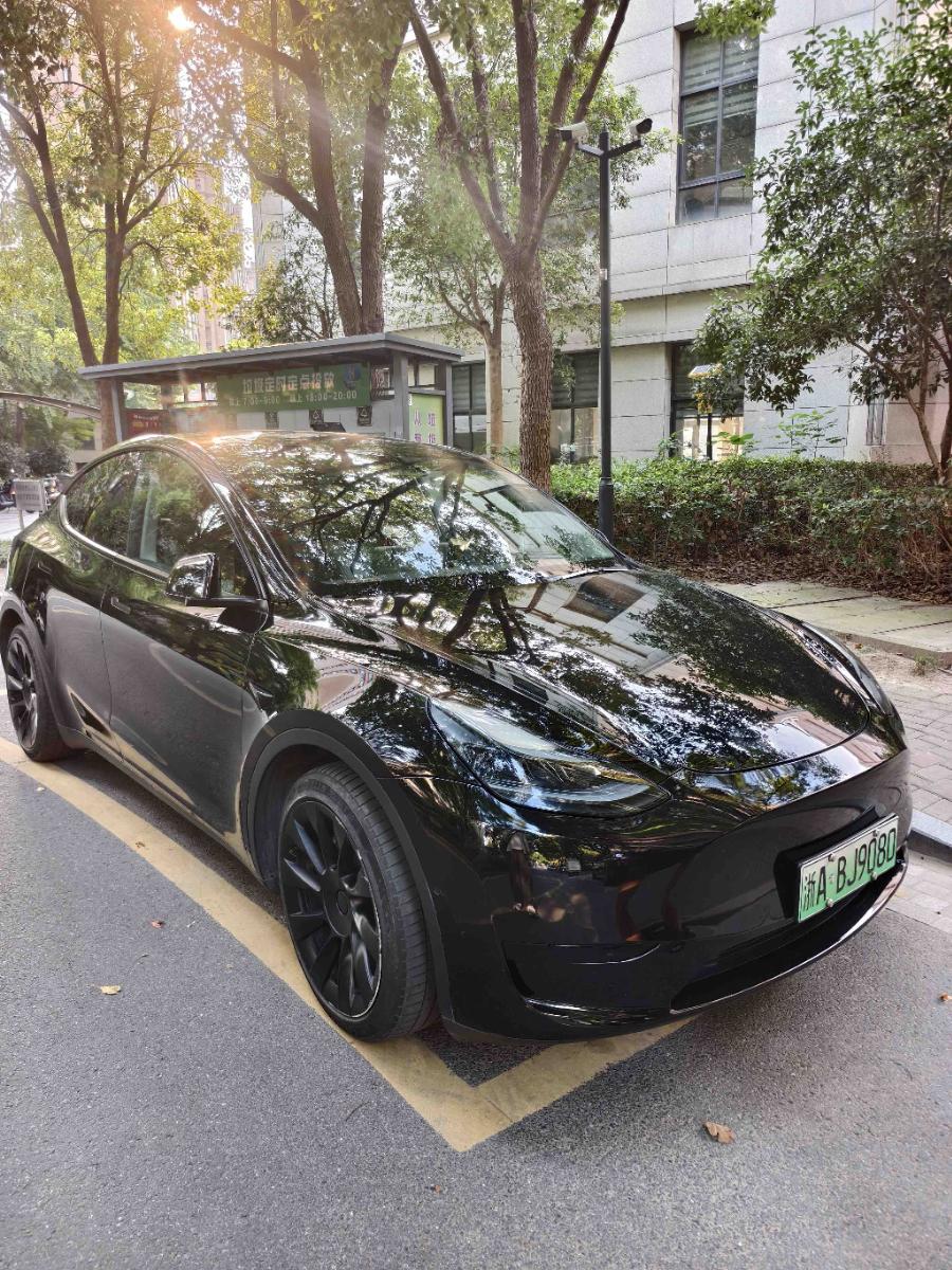 Tesla Model Y 2023 car image #2
