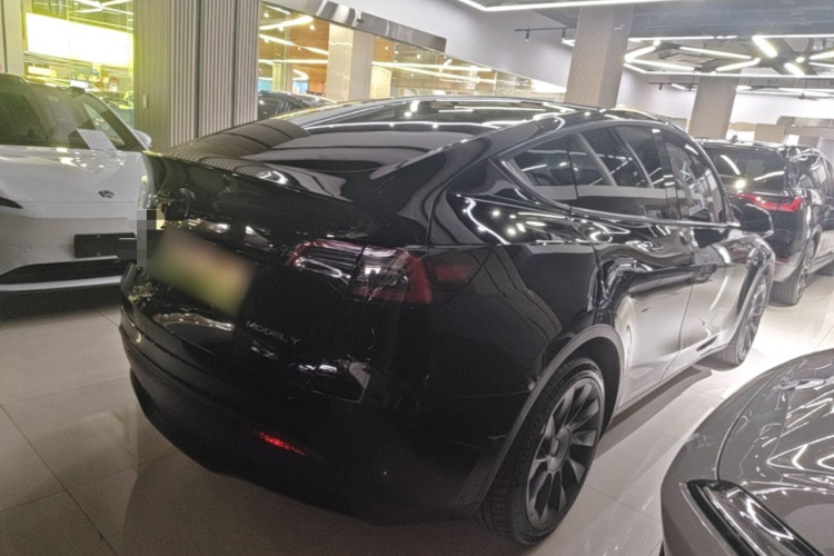 Tesla Model Y 2021 #7 Tesla Model Y 2021 car image #7