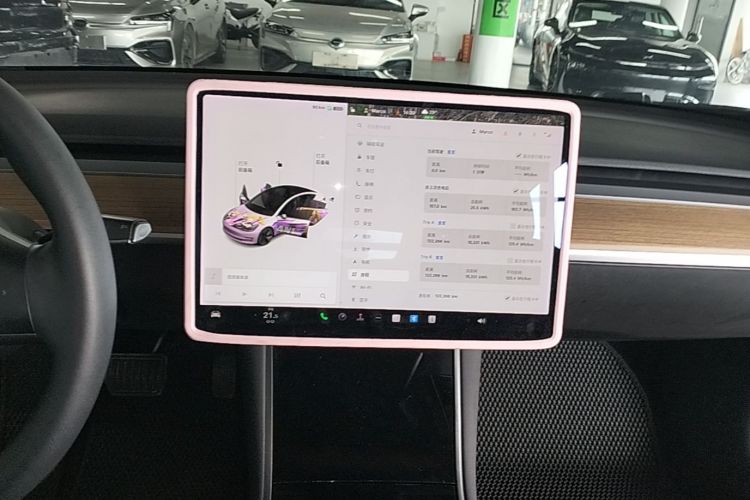 Tesla Model 3 2020 car image #13