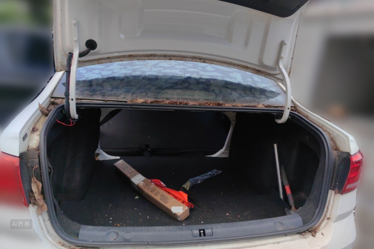 Volkswagen Lavida 2016 car image #21