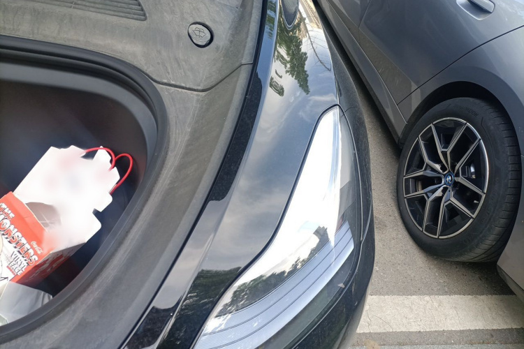 Tesla Model Y 2023 #29 Tesla Model Y 2023 car image #29