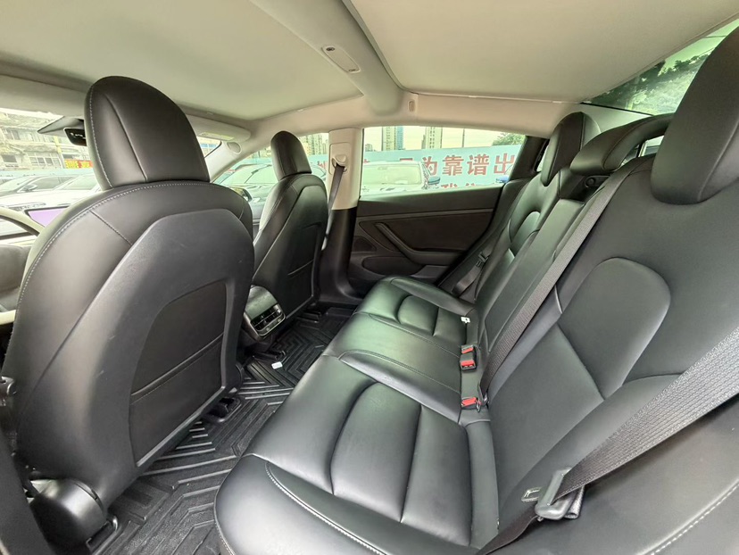 Tesla Model 3 2020 car image #6