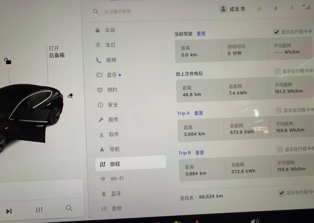 Tesla Model 3 (Imported) 2019 car image #20
