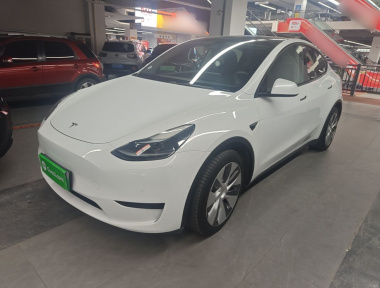 Tesla Model Y 2022 immagine di auto 