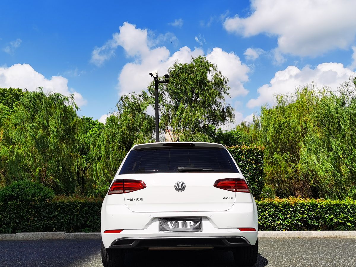 Volkswagen Golf 2019 #4 Volkswagen Golf 2019 car image #4