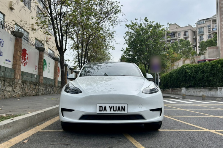 Tesla Model Y 2024 #8 Tesla Model Y 2024 car image #8