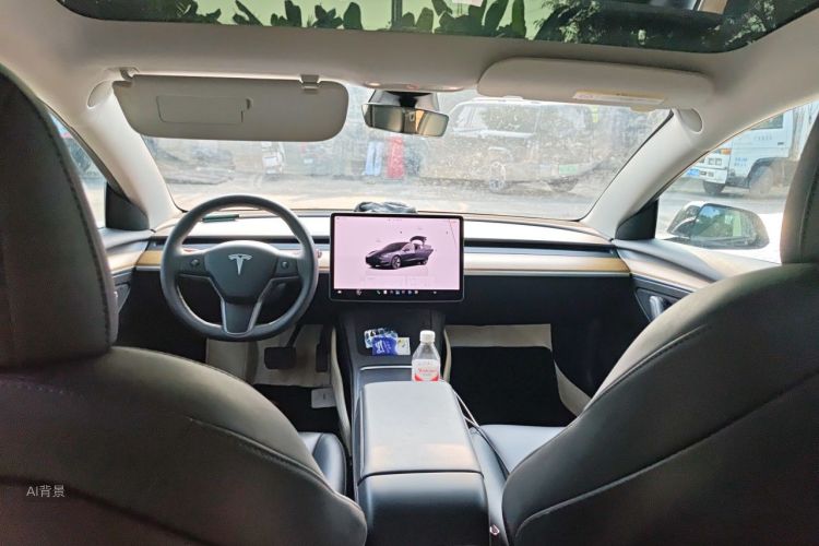Tesla Model 3 2022 immagine di auto #20