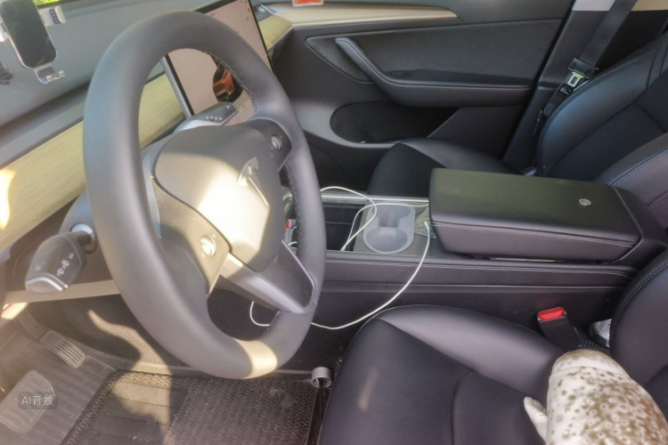 Tesla Model Y 2022 car image #17