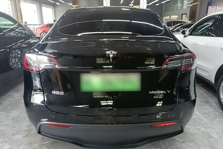 Tesla Model Y 2021 #6 Tesla Model Y 2021 car image #6