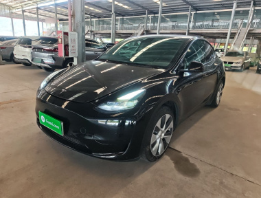 Tesla Model Y 2022 car image 