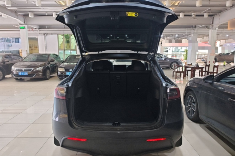 Tesla Model Y 2024 #19 Tesla Model Y 2024 car image #19