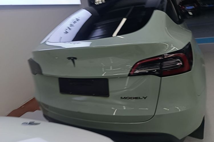 Tesla Model Y 2021 car image #6