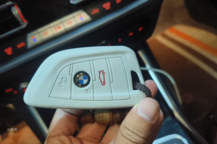 BMW 3 Series 2021 car image #10