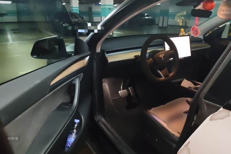 Tesla Model Y 2022 car image #18
