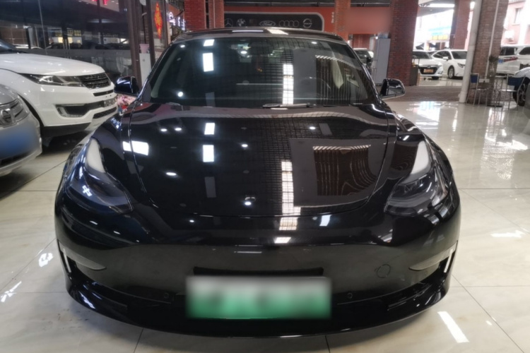Tesla Model 3 2021 #3 Tesla Model 3 2021 car image #3