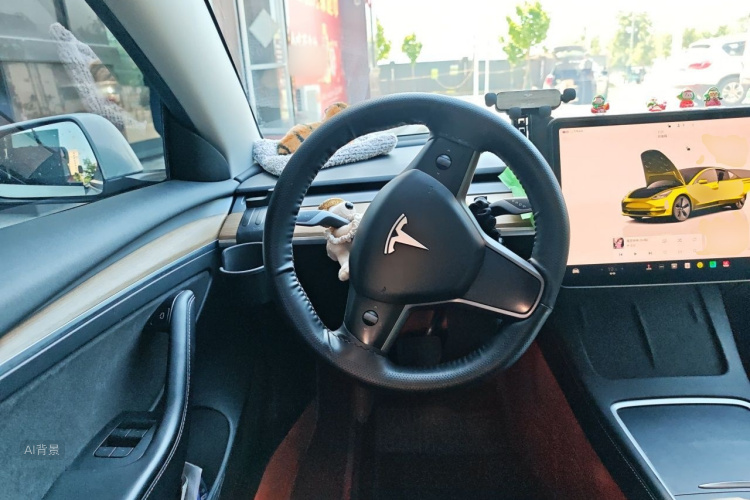 Tesla Model 3 2022 car image #12