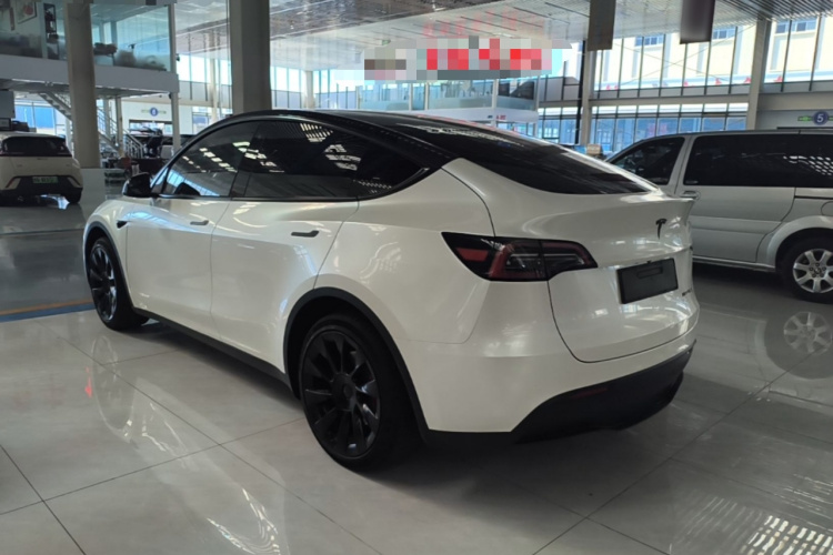 Tesla Model Y 2023 #7 Tesla Model Y 2023 car image #7