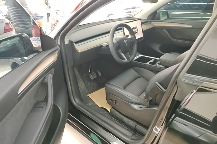 Tesla Model Y 2023 car image #16